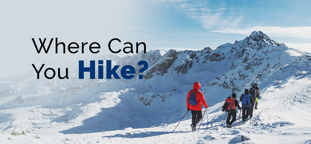 group of experienced hikers wearing backpacks, trekking poles and full gear in the mountains off-trail