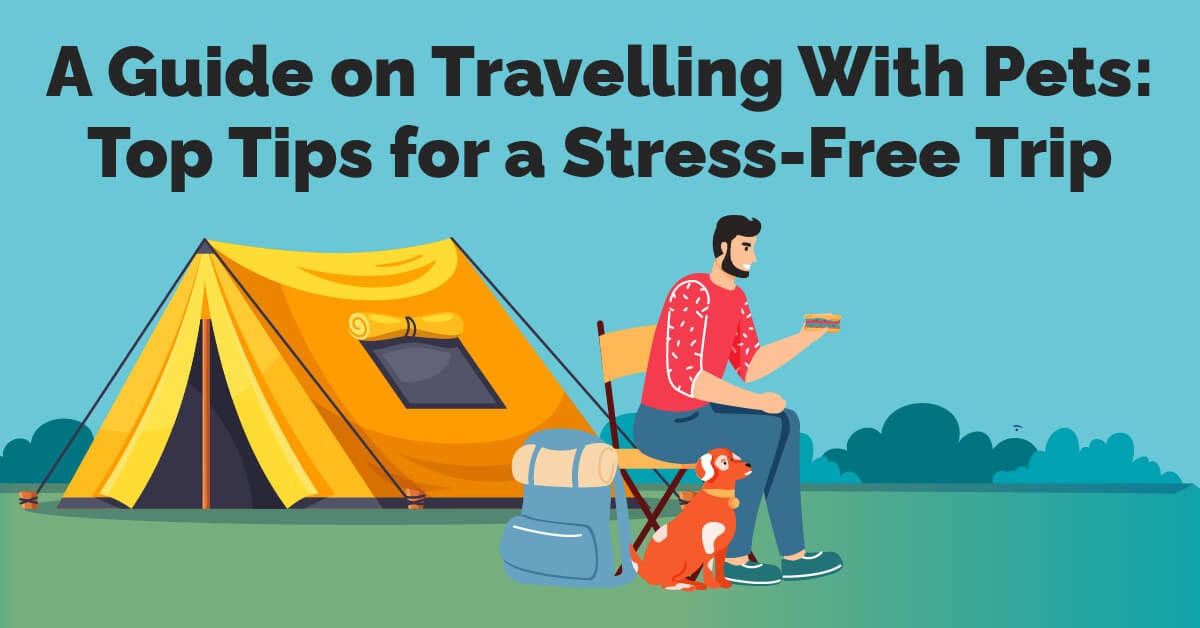 A Guide on Travelling With Pets Top Tips for a Stress-Free Trip