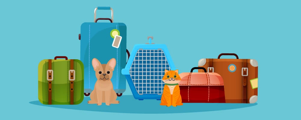 Dog and cat with cages for their package