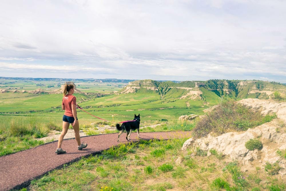 walking a dog in scott's bluff