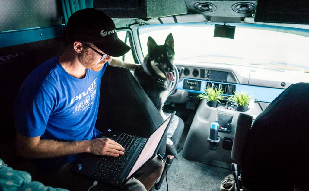 working in a van with a dog