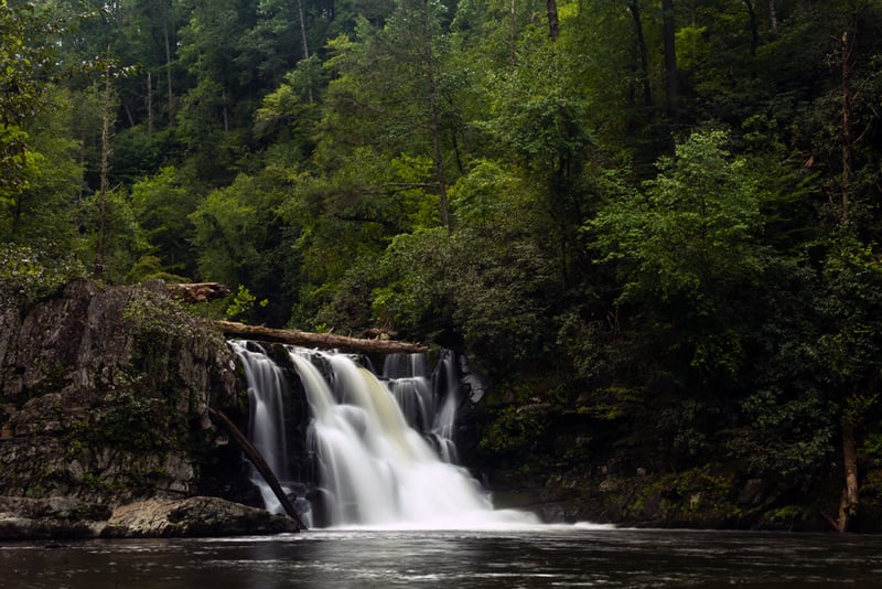 abrams creek waterfall in the great smoky mountains