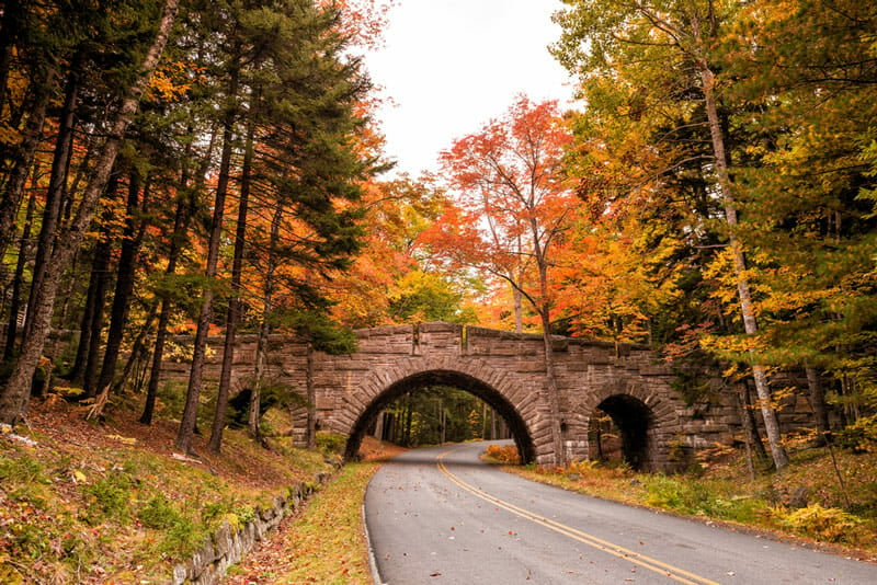 acadia national park in the fall