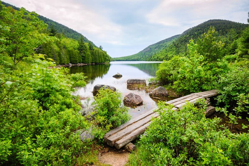 acadia national park in the spring