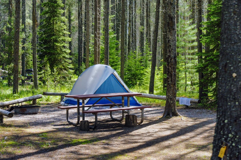 camping tent at apgar campsite in glacier national park