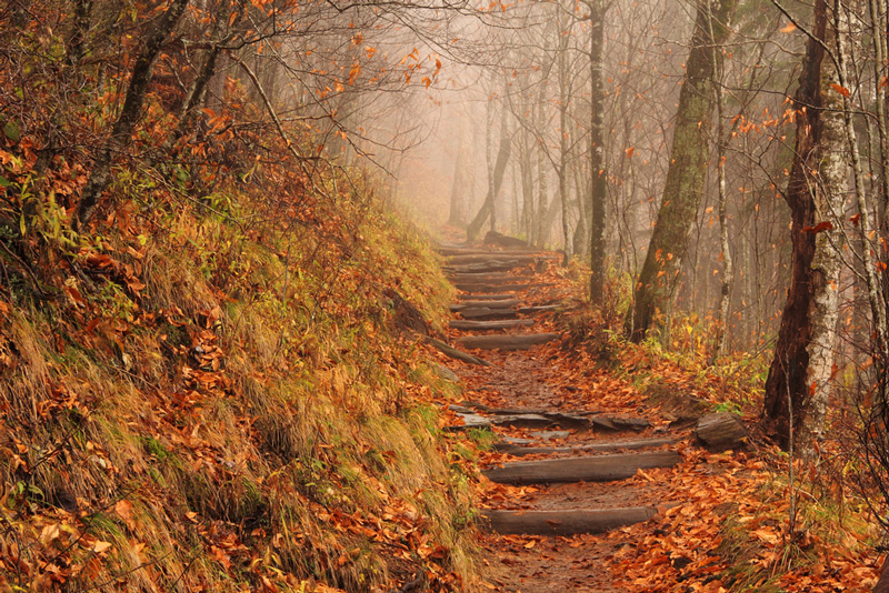 Appalachian national scenic trail in a vermont park