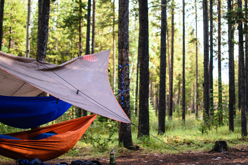 hanging a backpacking hammock