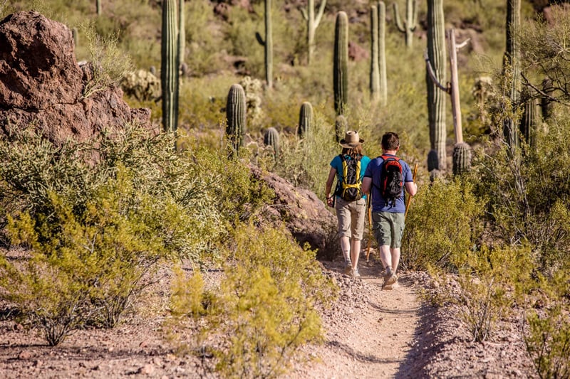 couple backpacking in saguaro national park to a wilderness campsite