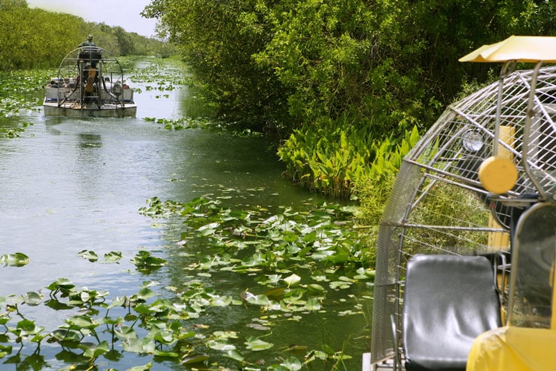 airboat in the big cypress national park in florida