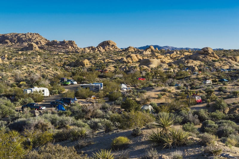 van-dwellers parked at a campground in joshua tree national park
