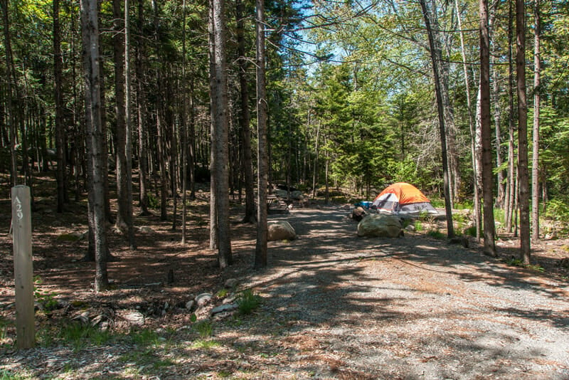 blackwoods campground in acadia national park, maine