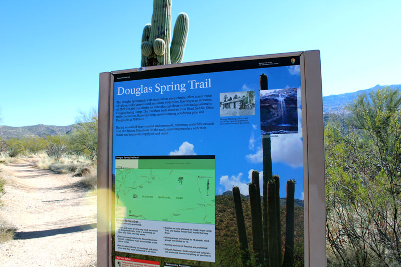 douglas springs trailhead in saguaro national park