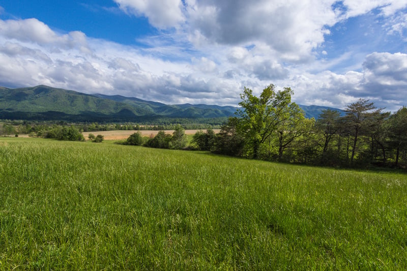 camping at cade's cove in the great smoky mountains national park