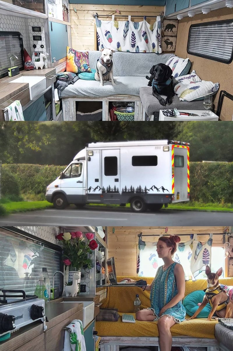 camper ambulance conversion for a couple and their dogs