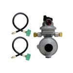 Camper propane regulator