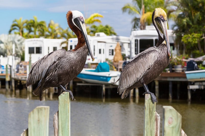 private campgrounds near the florida everglades national park