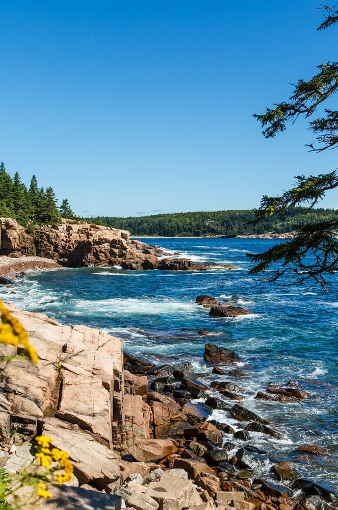 camping in acadia national park
