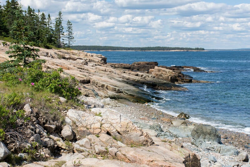camping near schoodic woods point in acadia national park