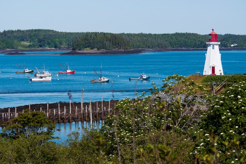 campobello island international park in maine