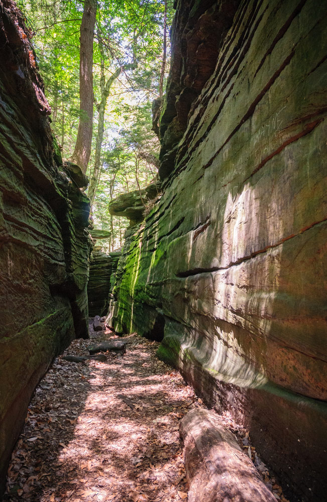 hiking trail in Cuyahoga valley national park