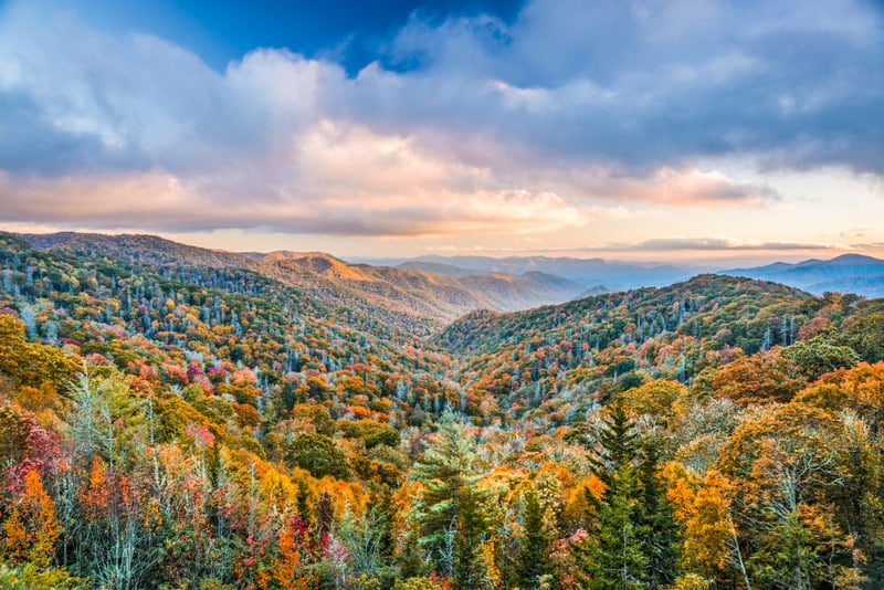 driving to a camping site in the great smoky mountains national park