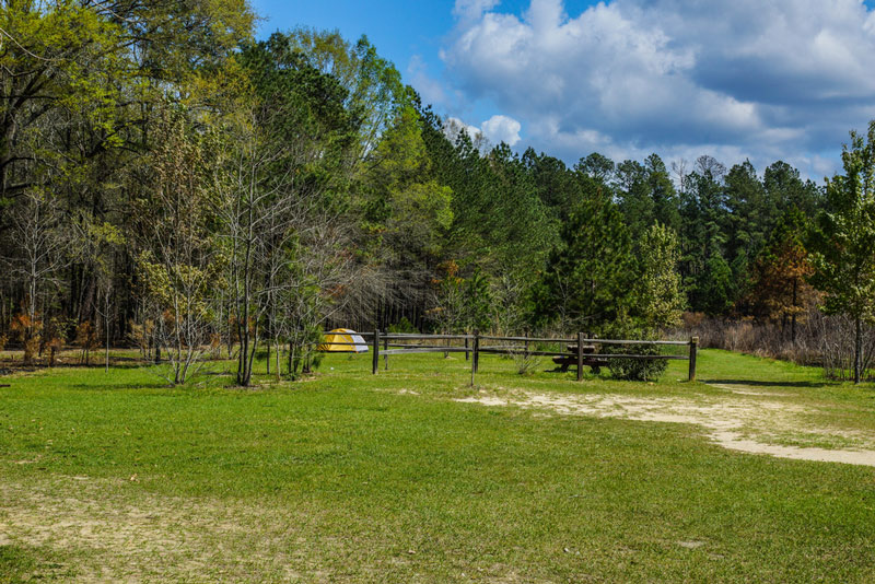 long leaf campground in congaree national park south carolina