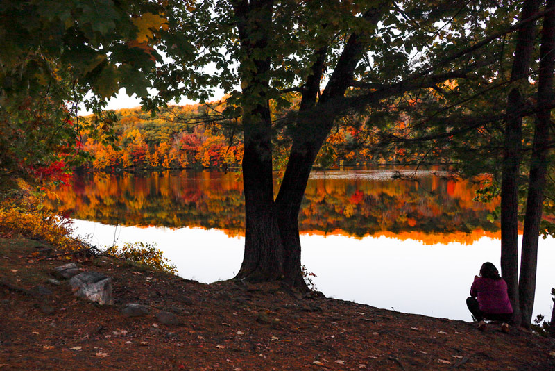 fall foliage in a connecticut national park lake