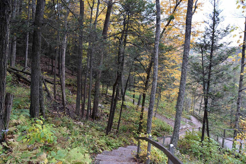 Hiking trail in a connecticut national park