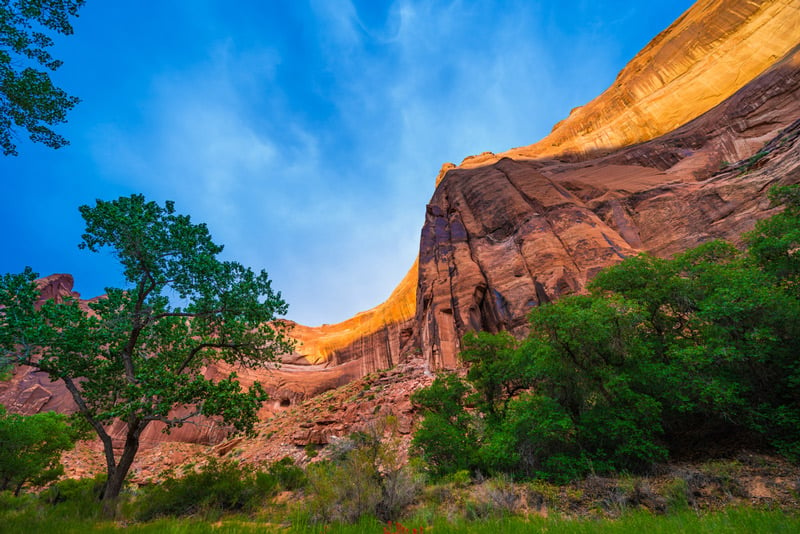 view from the river in coyote gulch glen canyon recreation area