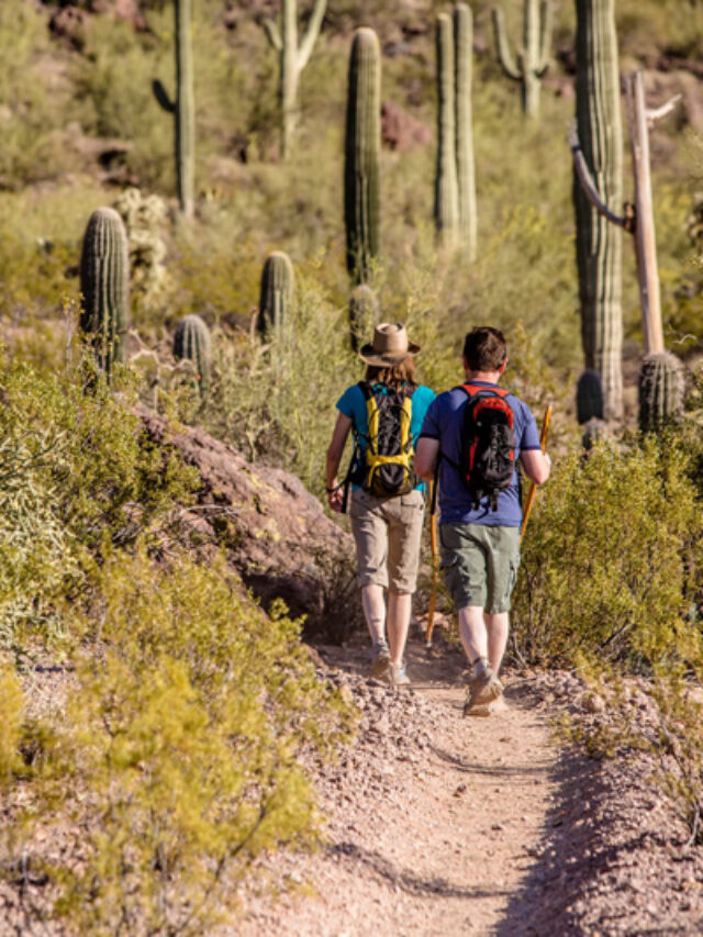 couple backpacking in saguaro national park to a wilderness campsite