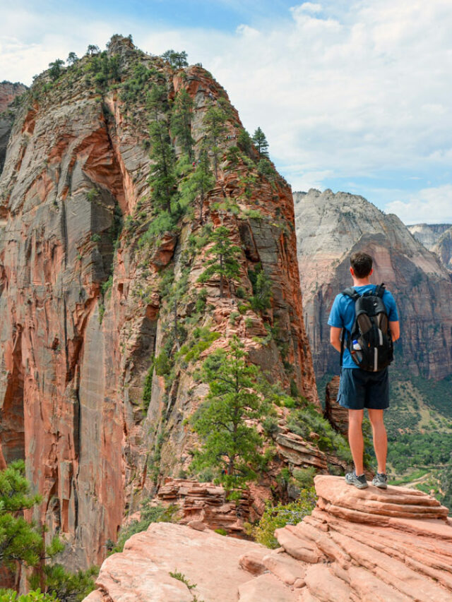 view from scout lookout on angel's landing trail in zion