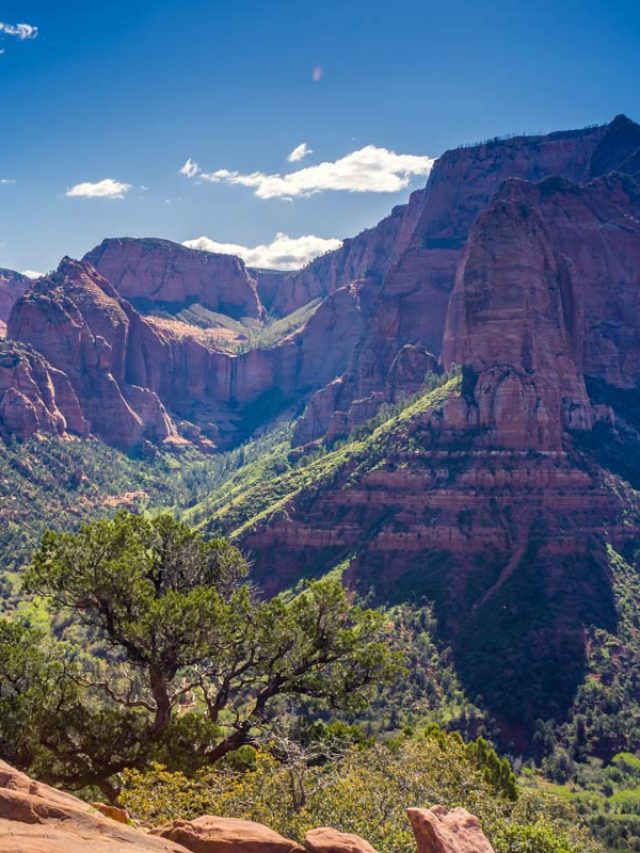 photo taken from the timber creek overlook hiking trail in the kolob canyon area of zion national park