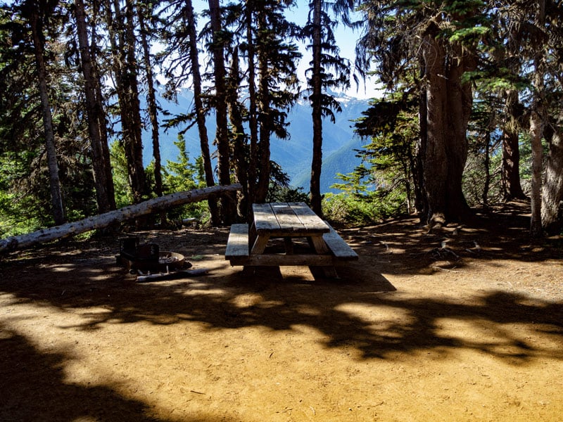 camping at deer park campground in olympic national park