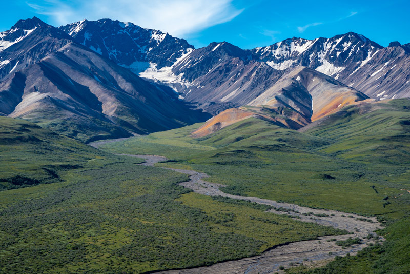 View from Polychrome Pass in denali national park alaska