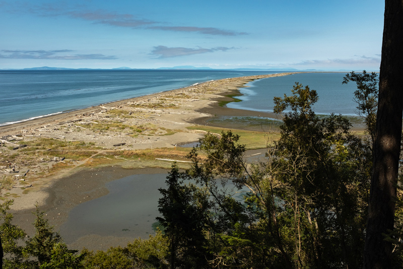 camping on the dungeness spit shore