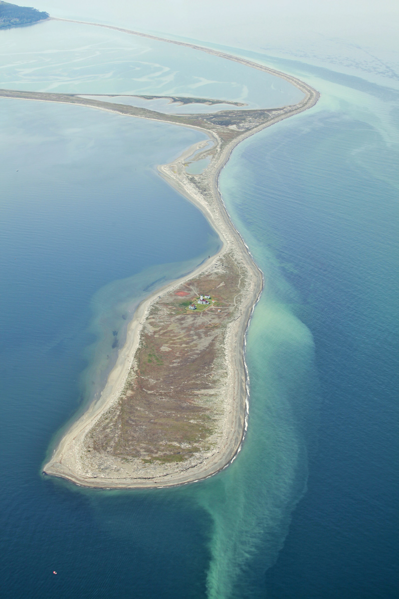 dungeness spit wildlife refuge