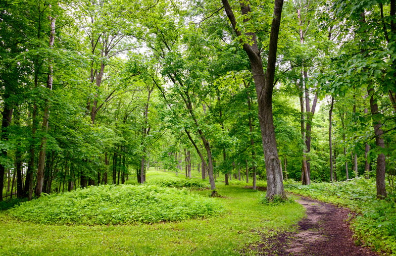 Effigy Mounds National Park in Iowa