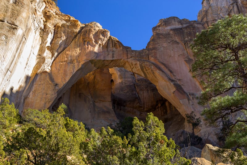 el malpais arch in new mexico