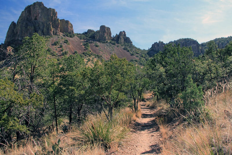 emory peak trail big bend national park