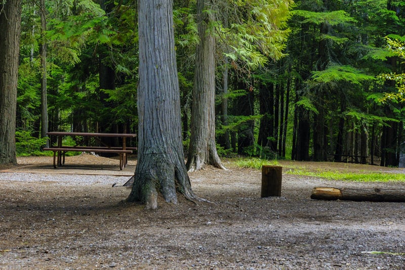 camping at fish creek campground in Glacier National Park