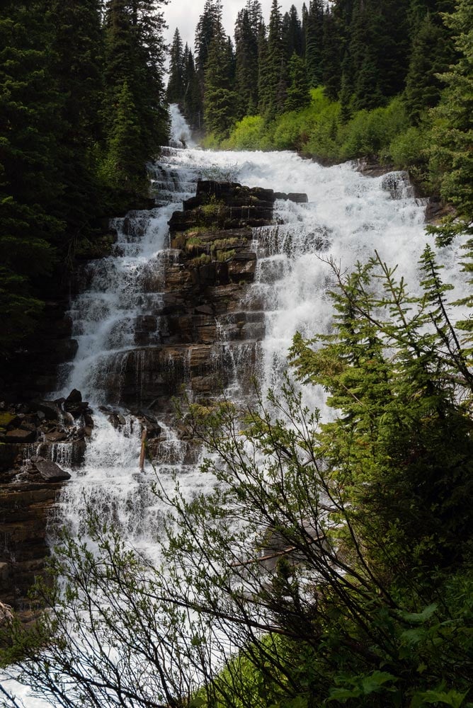 florence falls near logan pass in glacier national park