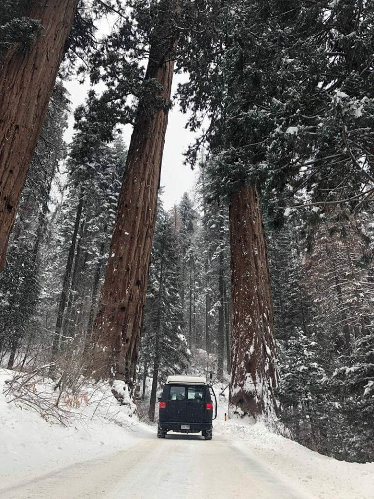 Driving a van life camper past the Four Guardsman Trees in Sequoia National Park