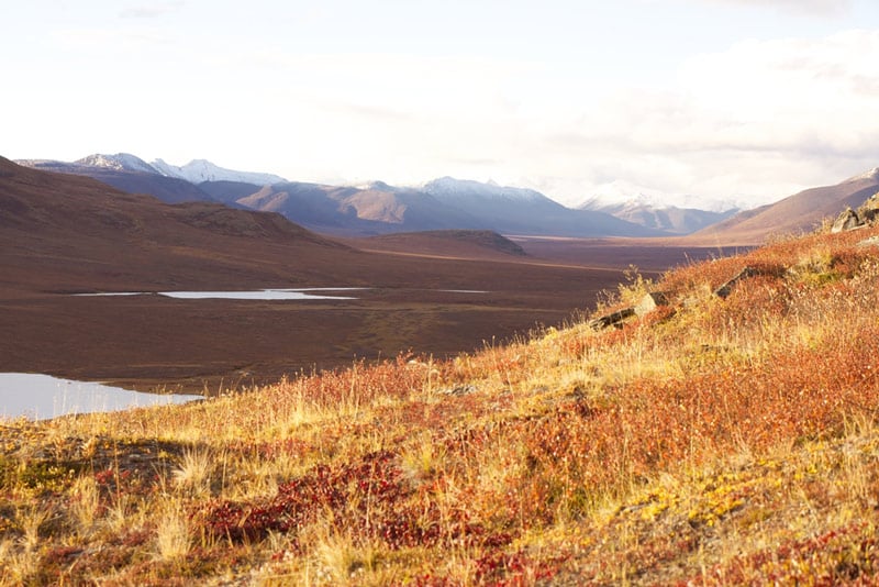 gates of the arctic national park in alaska