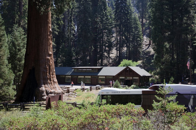 tourists visit the giant forest museum in sequoia national park california