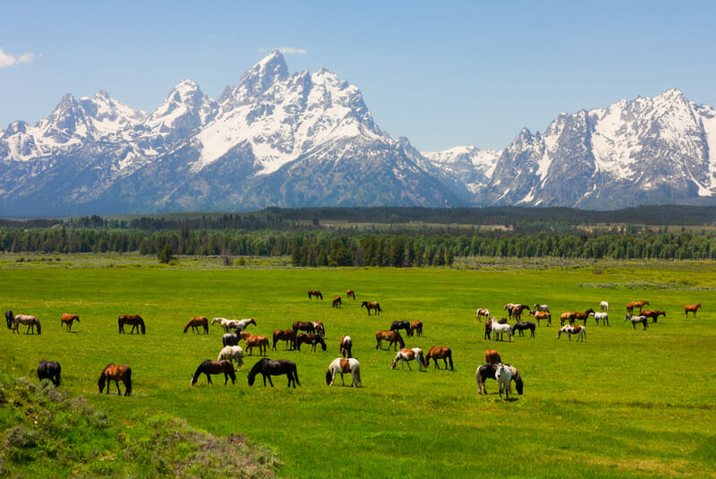 grand teton national park, wyoming