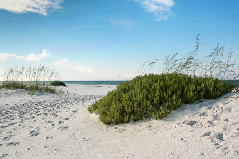 gulf islands national seashore in florida