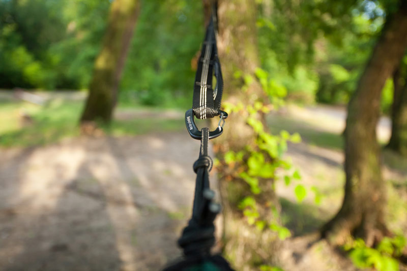 hammock straps and webbing to hang from a tree