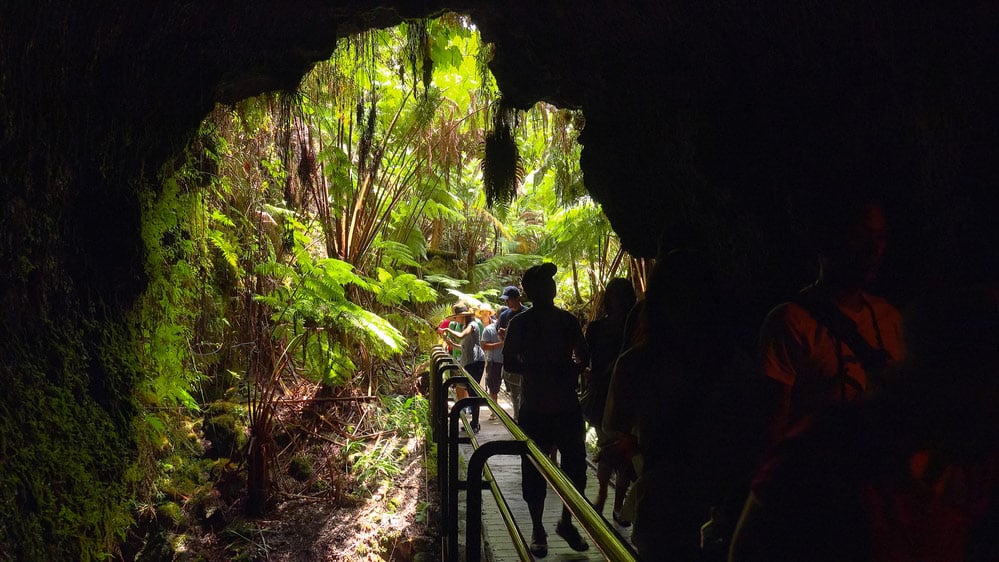 tourists hike through the thurston lava tubes in hawaii volcanos national park