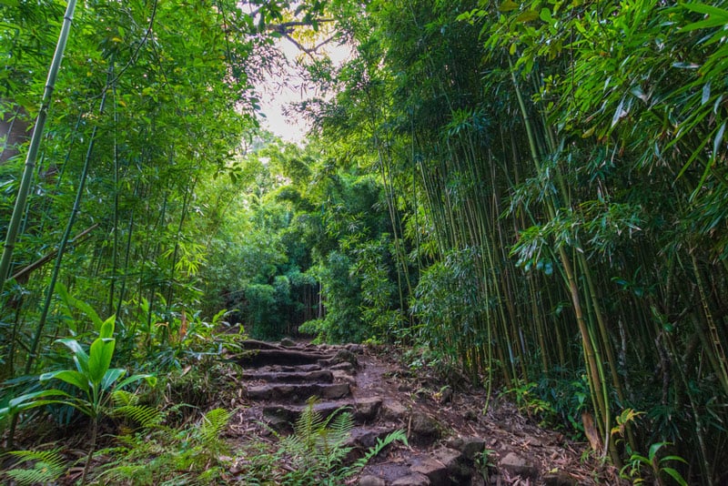 Pīpīwai Trail in haleakala national park hawaii