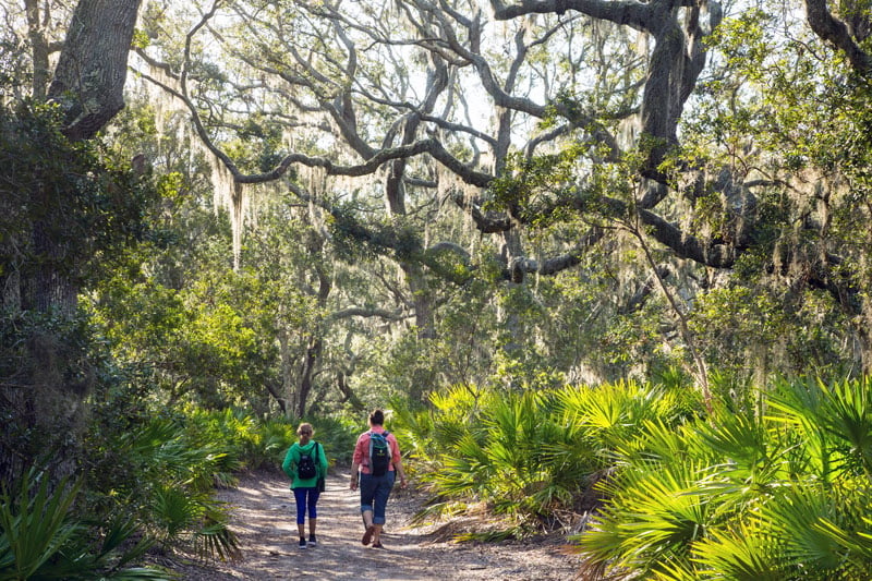 hiking national park trails in georgia